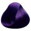 Deep Purple Directions -Halloween Kostüme deep purple directions haarfarbe directions hair color deep purple gothic fashion und haarfarbe 50758