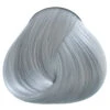Silver Directions 1 Silver Directions -Halloween Kostüme directions silver silber toenung graue haare haarfarbe grau haartoenung silber 660380 05