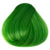 Directions Spring Green -Halloween Kostüme directions spring green gruene haare gruen haartoenung haarfarbe gruen 660379 01