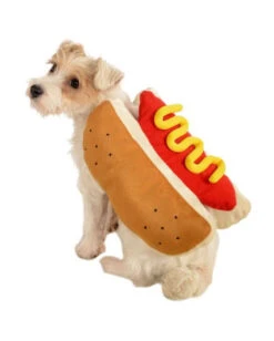 Halloween Kostüme 9 Hot Dog Hundekostüm
