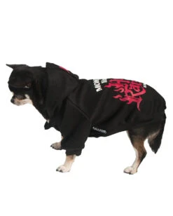 KILLSTAR Mommy's Hellraiser Hund & Katze Hoodie 9 KILLSTAR Mommy's Hellraiser Hund & Katze Hoodie -Halloween Kostüme killstar mommys little hellraise hunde und katzen hoodie tier puollover gothic fashion von killstar 52204 3