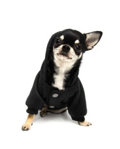 KILLSTAR Witch Mom Hund & Katze Hoodie -Halloween Kostüme killstar witch mom hund und katzen hoodie killstar clothing for pets gothic und alternative shop 51592 2