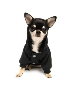 Halloween Kostüme -Halloween Kostüme killstar witch mom hund und katzen hoodie killstar clothing for pets gothic und alternative shop 51592 6