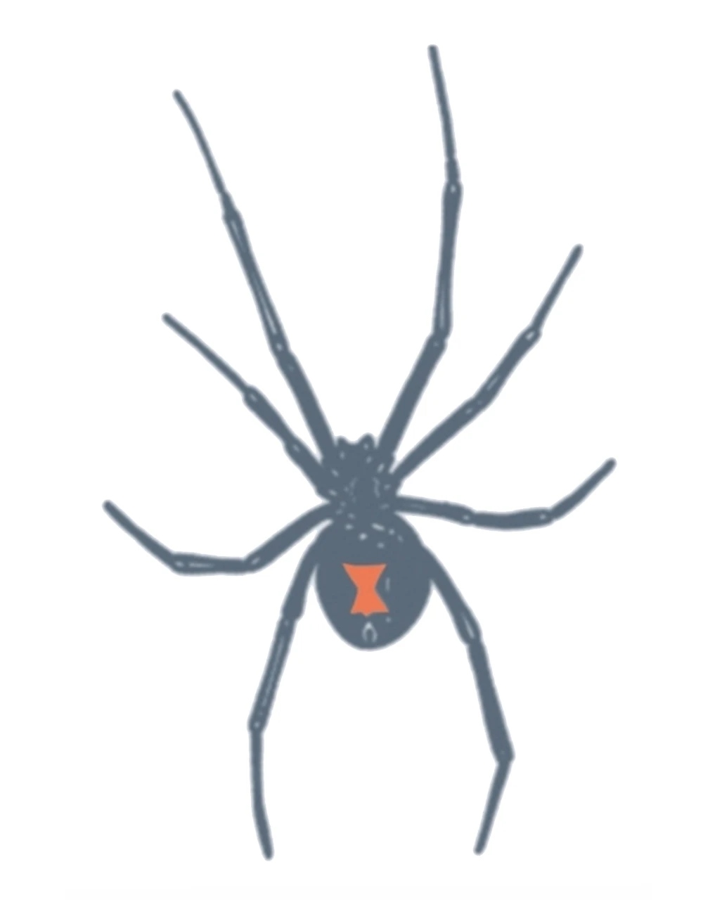 Knast Klebetattoo Schwarze Witwe 3 Knast Klebetattoo Schwarze Witwe