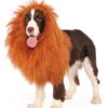 Löwenmähne Für Hunde -Halloween Kostüme loewenmaehne fuer hunde lions mane for dogs 27579