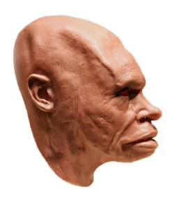 Neandertaler Schaumlatex Maske 7 Neandertaler Schaumlatex Maske -Halloween Kostüme neandertaler schaumlatex maske steinzeitmensch latex maske neanderthal foamlatex mask 50345 03