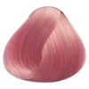 Pastel Rose Directions 2 Pastel Rose Directions -Halloween Kostüme pastel rose directions haarfarbe rosa haartoenung directions hair color 50754 01