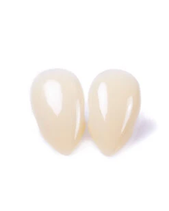 Scarecrow Lady Fangs Vampir Eckzähne 13 Scarecrow Lady Fangs Vampir Eckzähne -Halloween Kostüme scarecrow custom fangs scarecrow vampir eckzaehne vampirzaehne scarecrow ladyfangs 14534 06