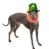 St. Patricks Day Hut Mit Bart Für Hunde 1 St. Patricks Day Hut Mit Bart Für Hunde -Halloween Kostüme st patricks day hut mit bart fuer hunde st patricks day hat with beard pet costume 27514