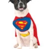 Superman Hunde Kostüm M -Halloween Kostüme superman hundekostuem superdog kostuem superman kostuem fuer hunde 17503 a172460a8b