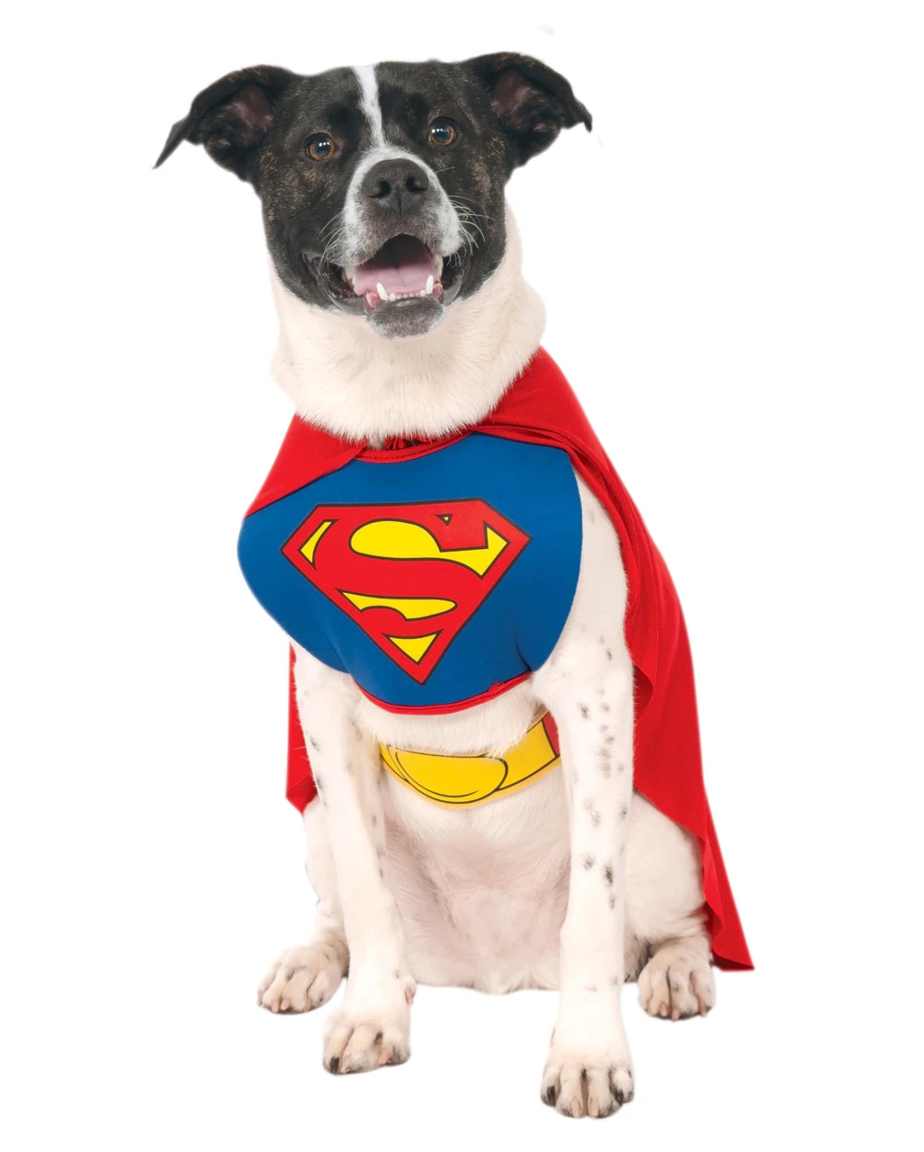 Superman Hunde Kostüm M 3 Superman Hunde Kostüm M