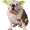 Yoda Ohren Für Hund & Katze -Halloween Kostüme yoda ohren fuer hunde und katzen faschingskostueme fuer tiere star wars tierkostueme 27505